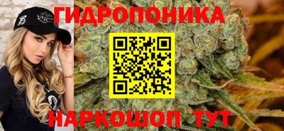 стаф Будённовск